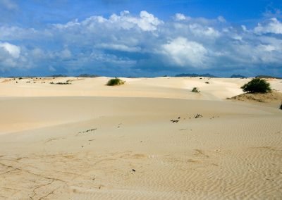 Desert on Boa Vista